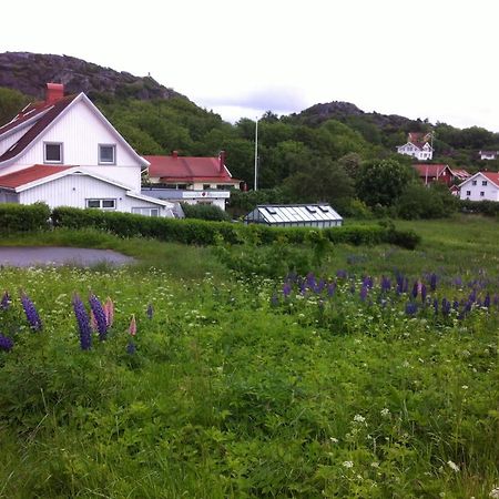 Noesund Bed & Breakfast Bed and Breakfast Eksteriør billede